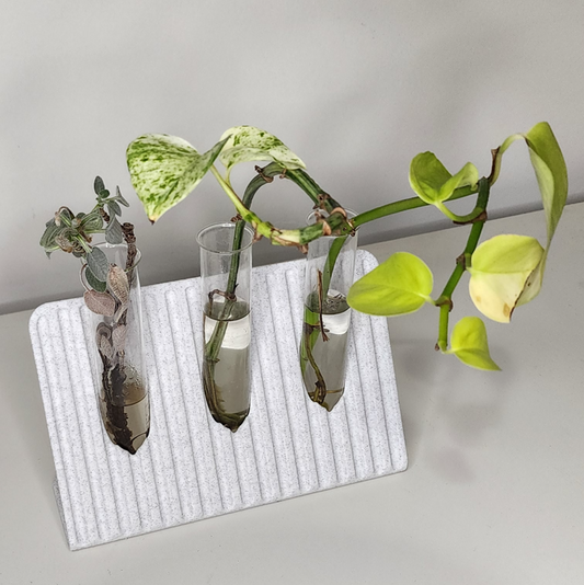 Propagate Like a Pro – No Green Thumb Required 🌱