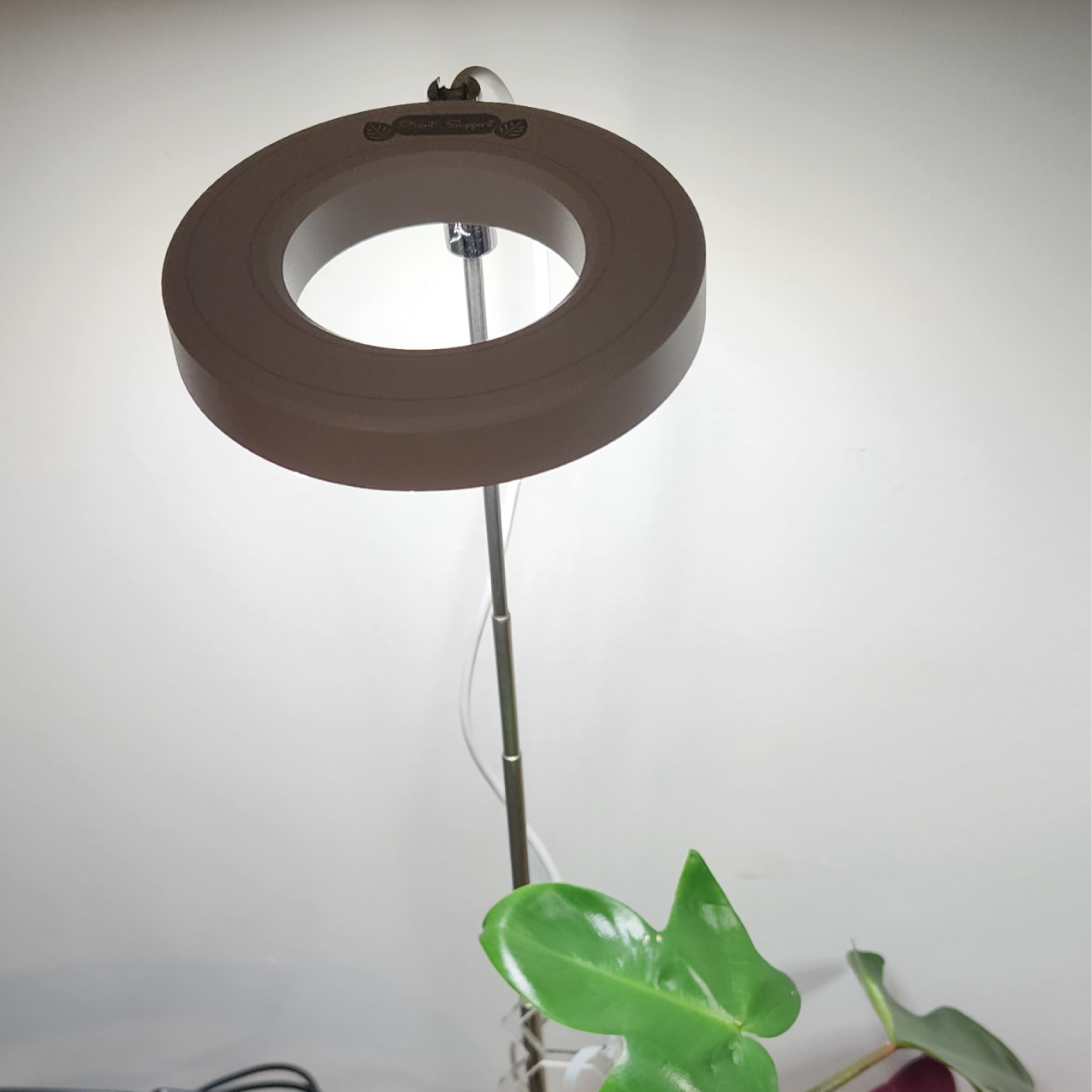 Plant Support - Go Grow Plant Lamp