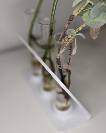 Acute Angle Propagation Station
