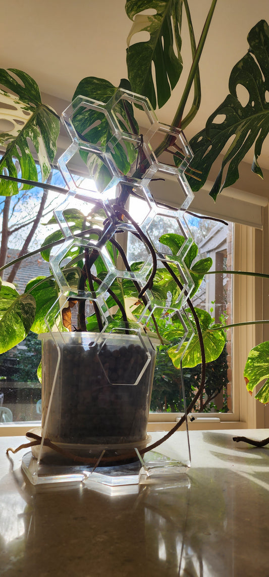 The Plant Rise by Plant Support