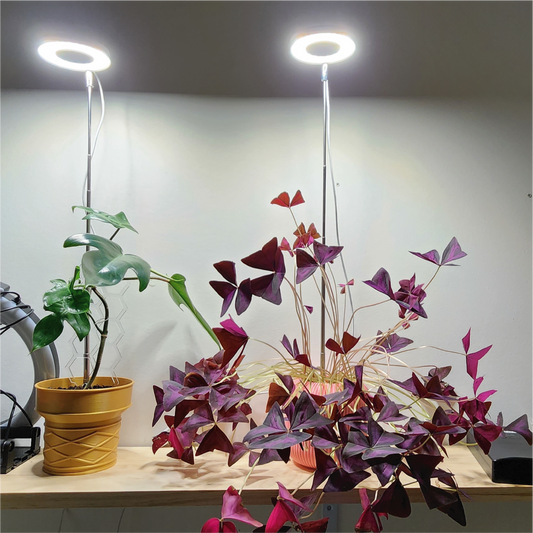 Plant Support - Go Grow Plant Lamp