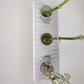 Acute Angle Propagation Station