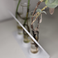 Acute Angle Propagation Station